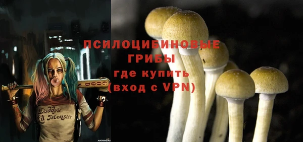 дживик Алексеевка