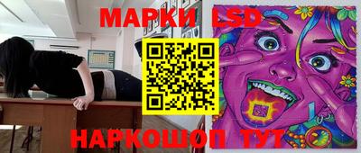 дмт Краснодар