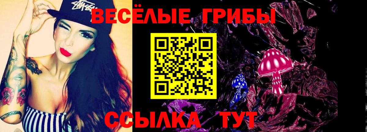 Галлюциногенные грибы Psilocybe  Вход с VPN  Красногорск  Псилоцибиновые грибы мицелий 